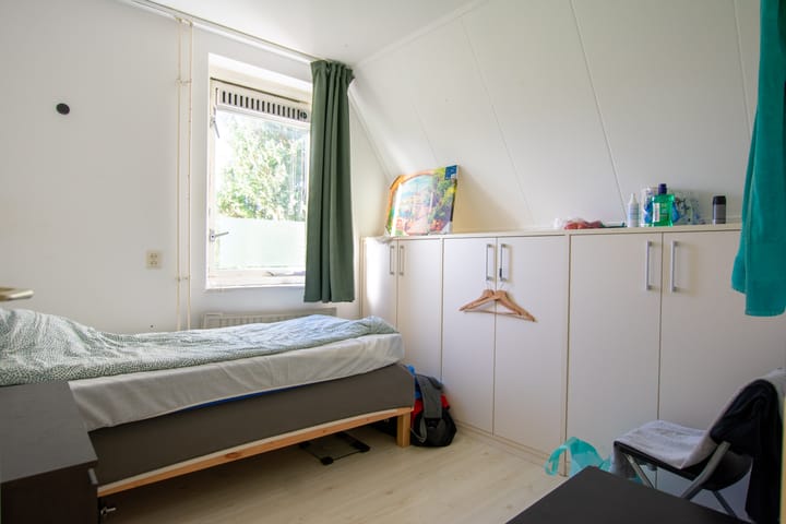 Foto 21 van de Hortensia 19