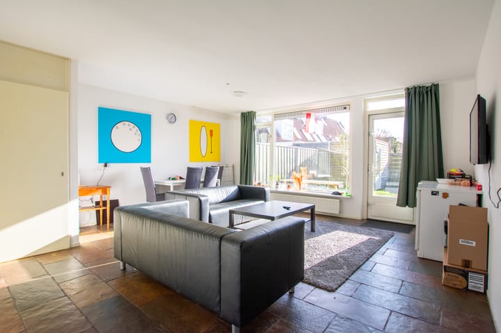 Foto 4 van de Hortensia 19