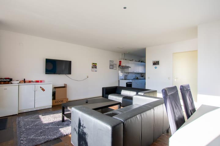 Foto 5 van de Hortensia 19