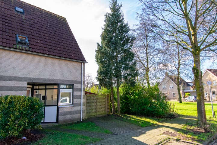 Foto 10 van de Hortensia 19