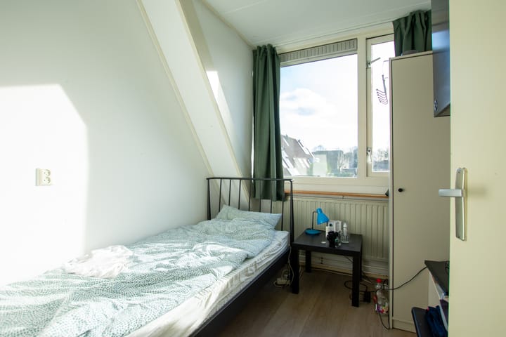 Foto 25 van de Hortensia 19