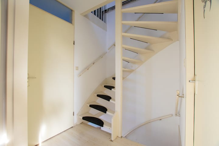 Foto 26 van de Hortensia 19