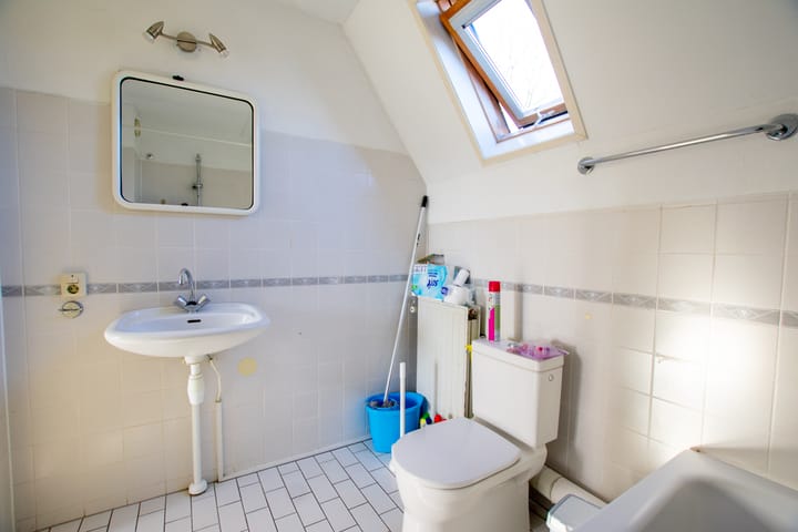 Foto 23 van de Hortensia 19