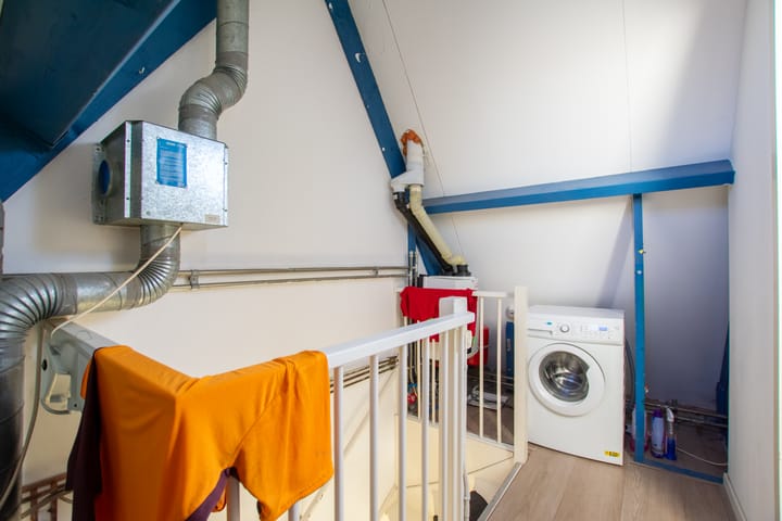 Foto 27 van de Hortensia 19