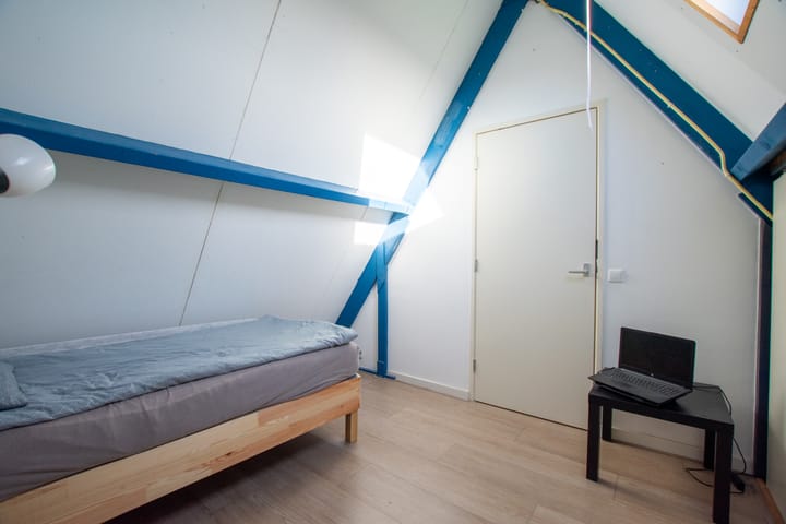 Foto 28 van de Hortensia 19