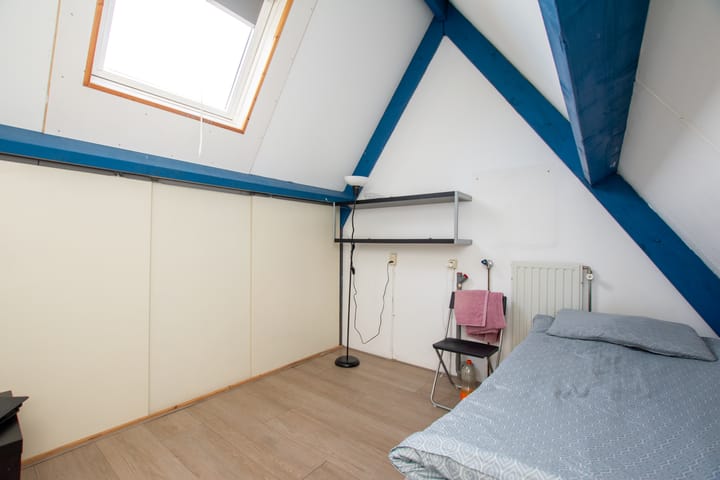 Foto 29 van de Hortensia 19