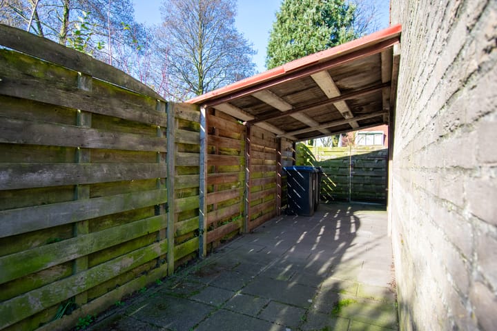 Foto 36 van de Hortensia 19