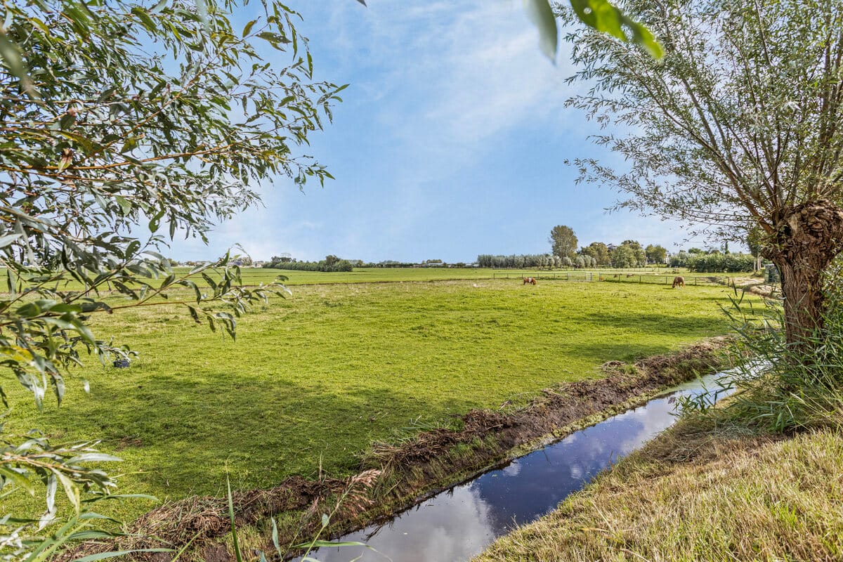 Photo 10 of Miening 37