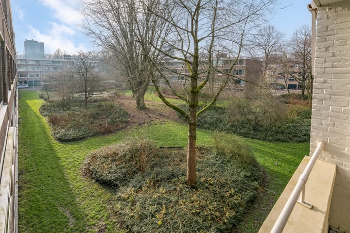 Foto 10 van Kiefskamp 8