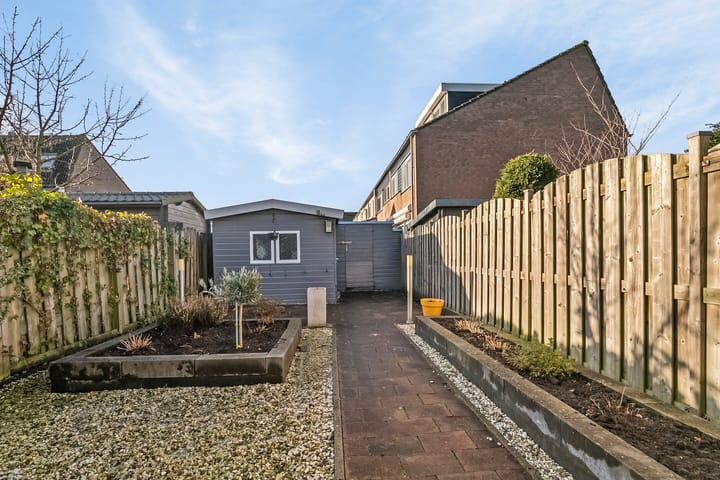 Foto 5 van Rietgors 3