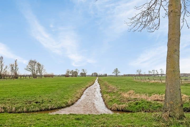 Foto 30 van Rietgors 3