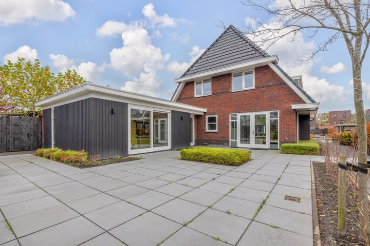 Foto 1 van Speenkruid 15