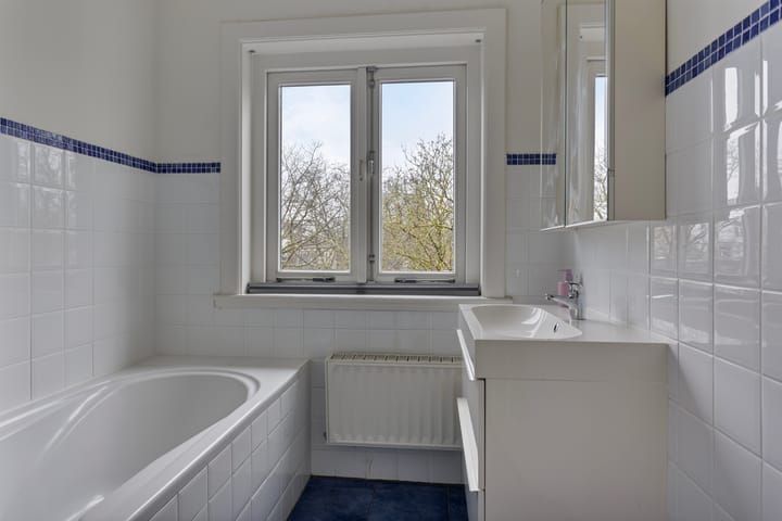 Foto 28 van Leemptstraat 14