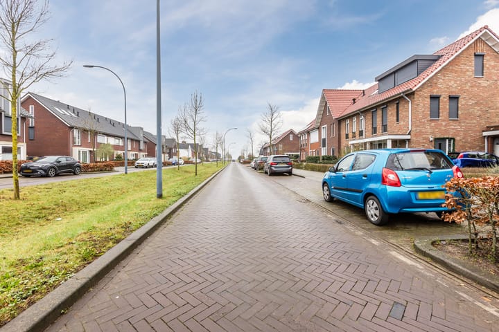 Foto 39 van IJzertijd 44