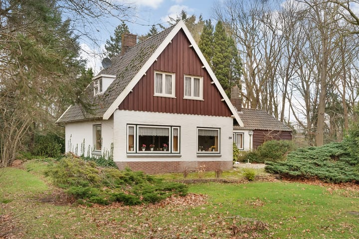 Foto 1 van Leeuwte 29