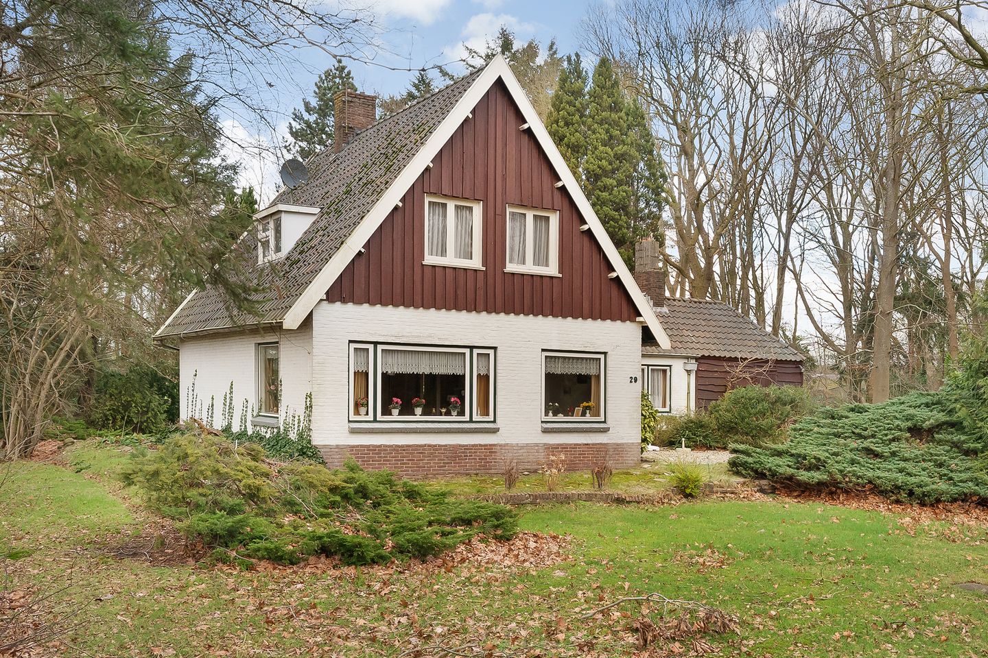 Foto 1 van Leeuwte 29