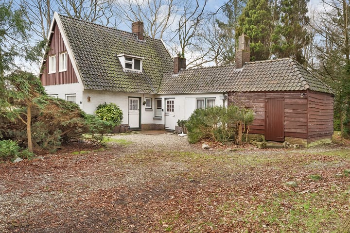 Foto 2 van Leeuwte 29