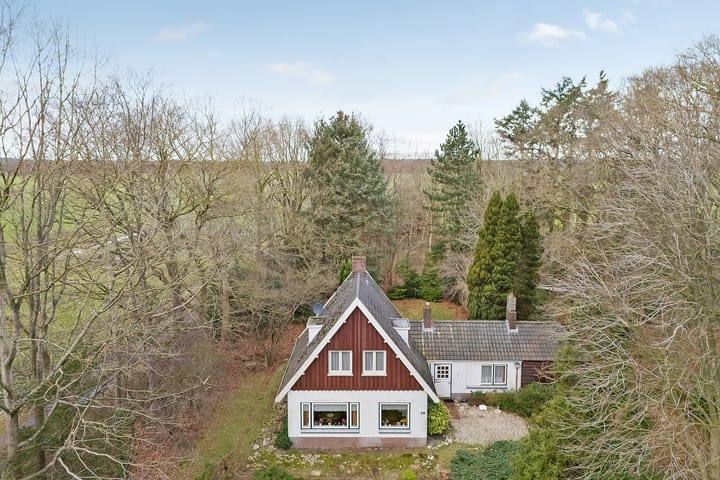 Foto 4 van Leeuwte 29