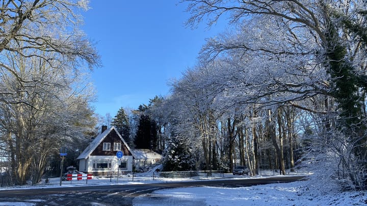 Foto 7 van Leeuwte 29