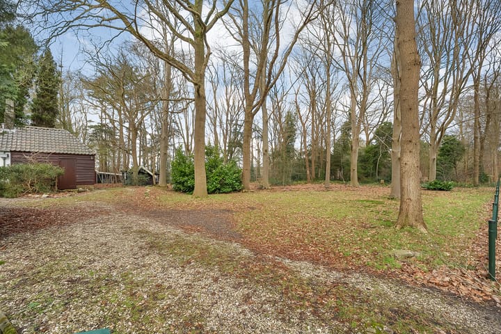 Foto 11 van Leeuwte 29