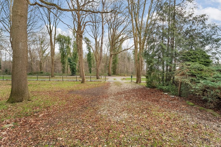 Foto 12 van Leeuwte 29