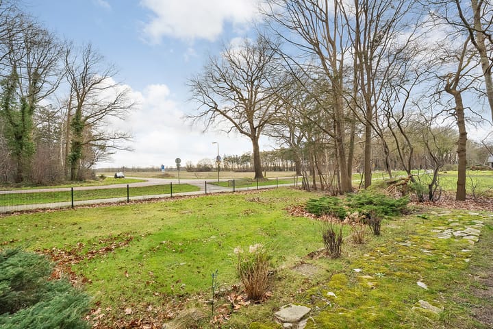 Foto 13 van Leeuwte 29