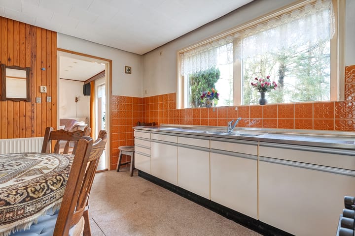 Foto 21 van Leeuwte 29