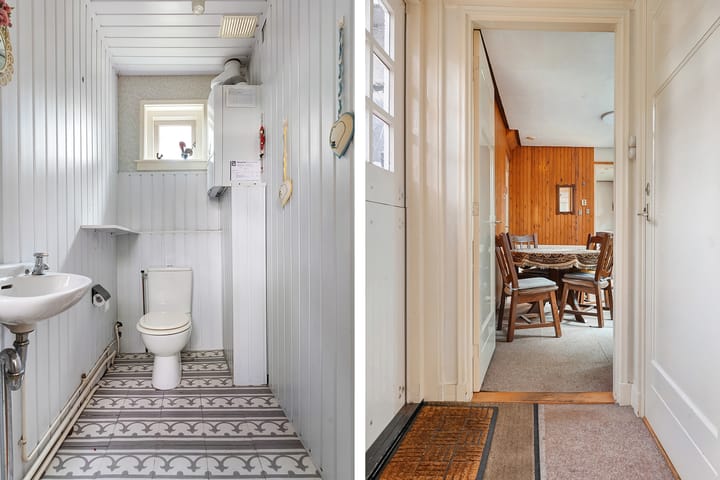 Foto 24 van Leeuwte 29