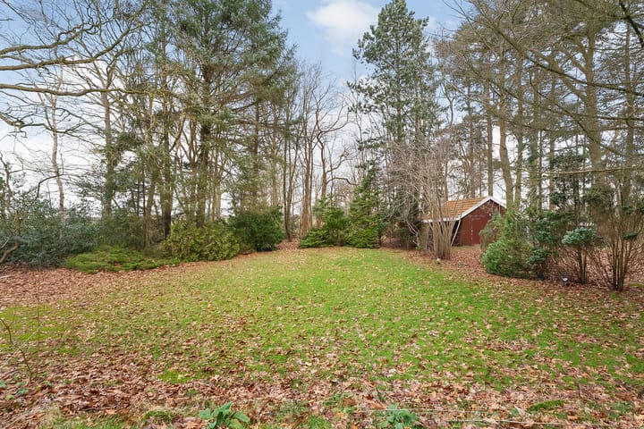 Foto 37 van Leeuwte 29