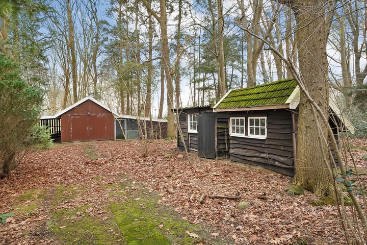 Foto 38 van Leeuwte 29