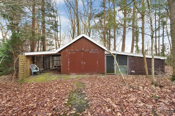 Foto 39 van Leeuwte 29