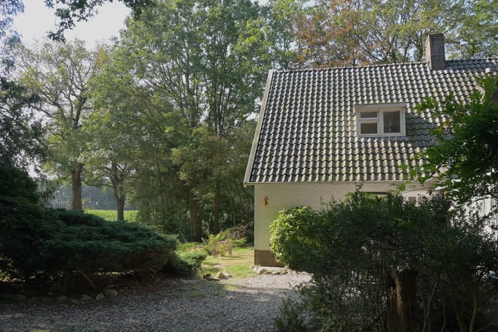 Foto 42 van Leeuwte 29