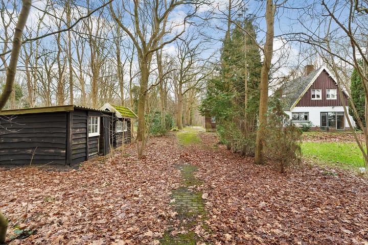 Foto 43 van Leeuwte 29