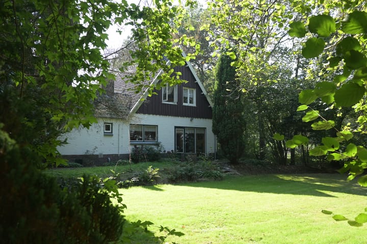 Foto 45 van Leeuwte 29