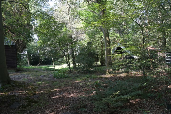 Foto 46 van Leeuwte 29