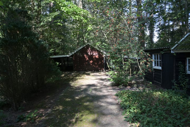 Foto 47 van Leeuwte 29