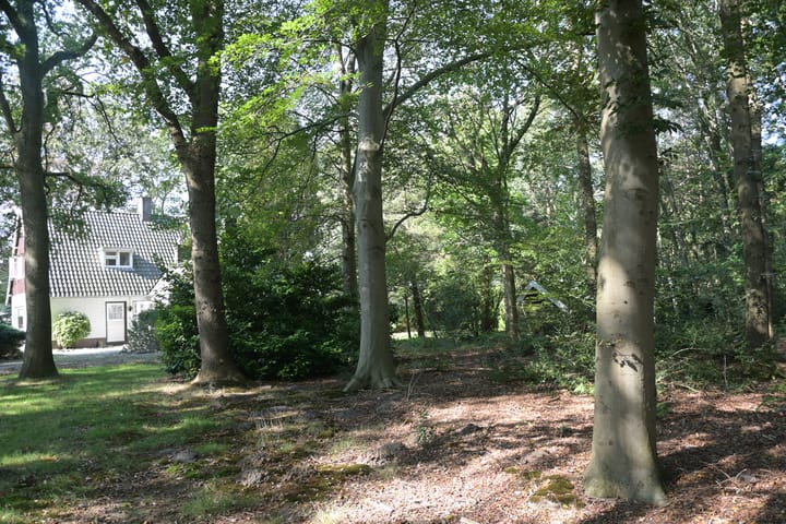 Foto 48 van Leeuwte 29