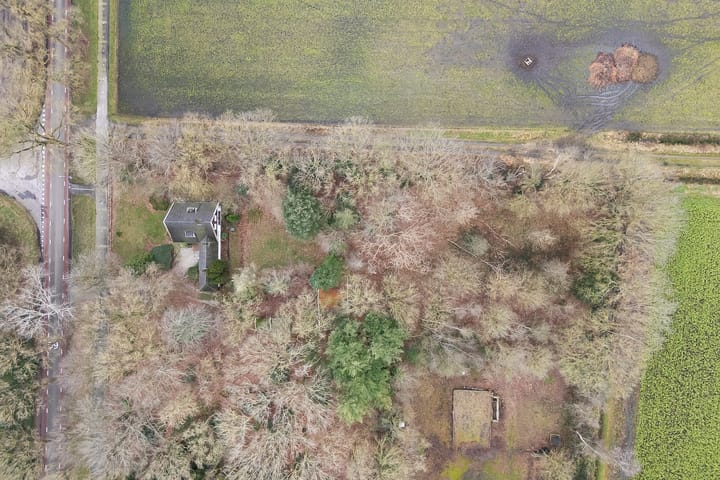 Foto 50 van Leeuwte 29