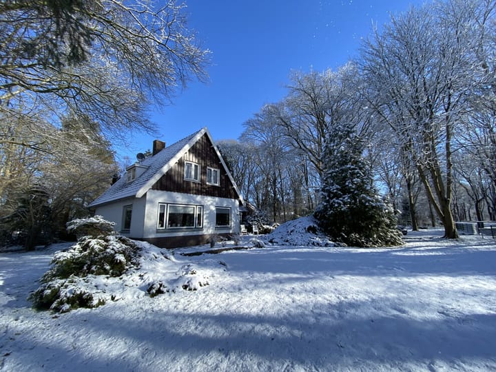 Foto 8 van Leeuwte 29