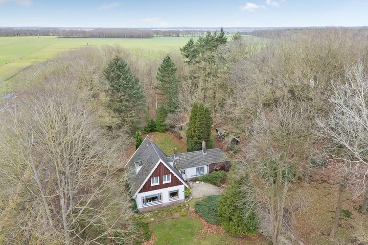 Foto 5 van Leeuwte 29