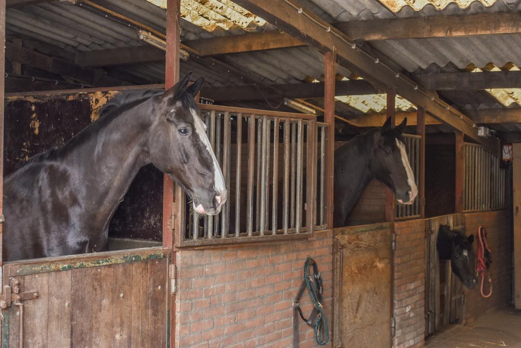 Foto 41 van Gein-Noord 36