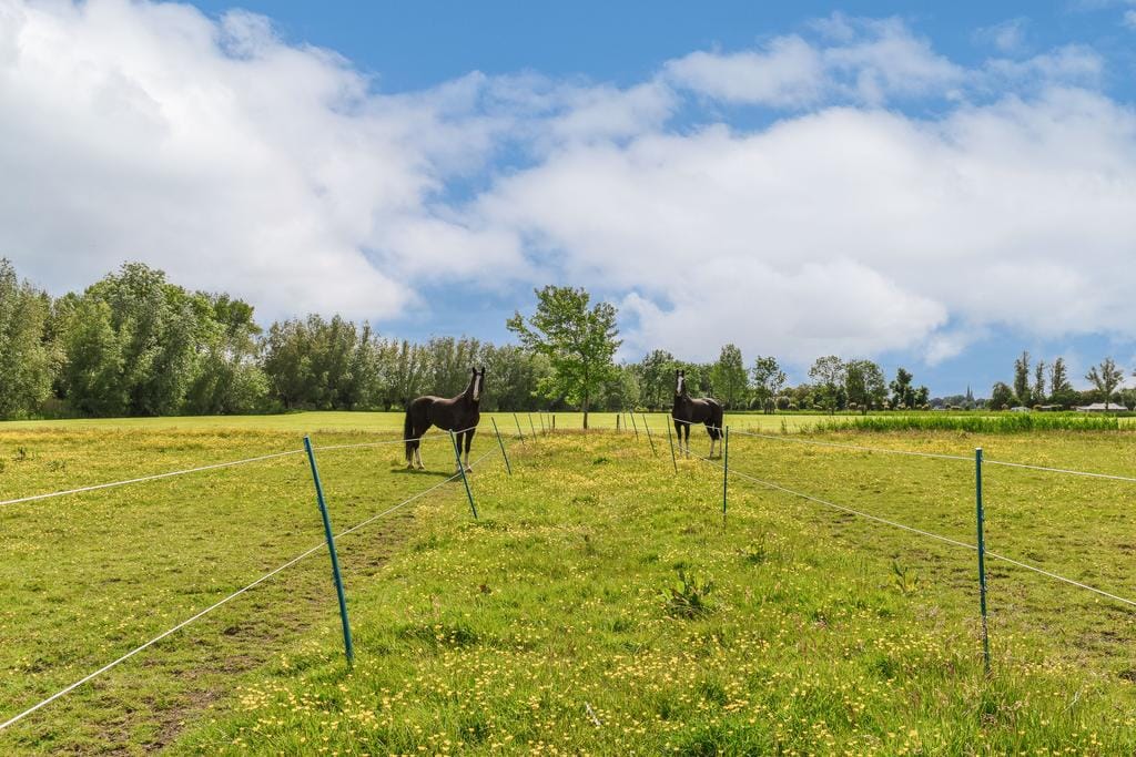 Foto 42 van Gein-Noord 36