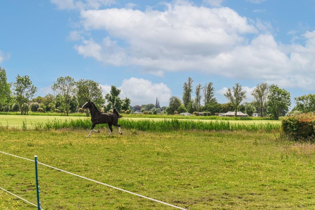 Foto 43 van Gein-Noord 36