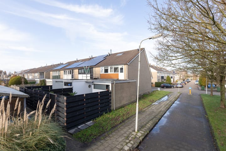 Foto 2 van Gossepalen 111