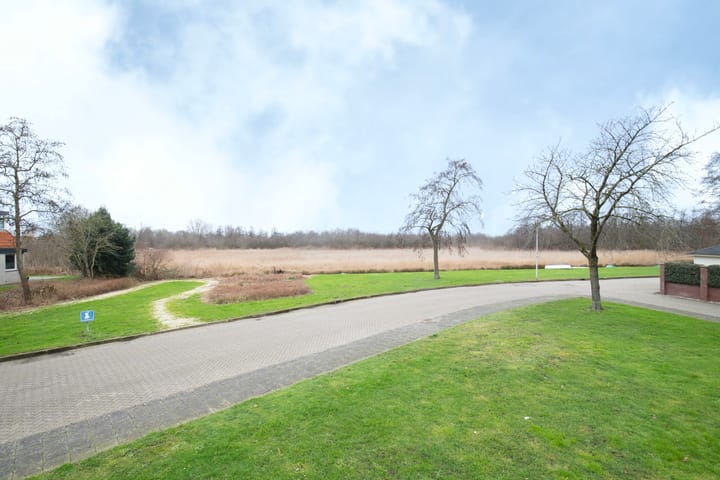 Foto 11 van De Zwanebloem 34