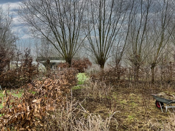 Photo 4 of Backemoorer Straße 27