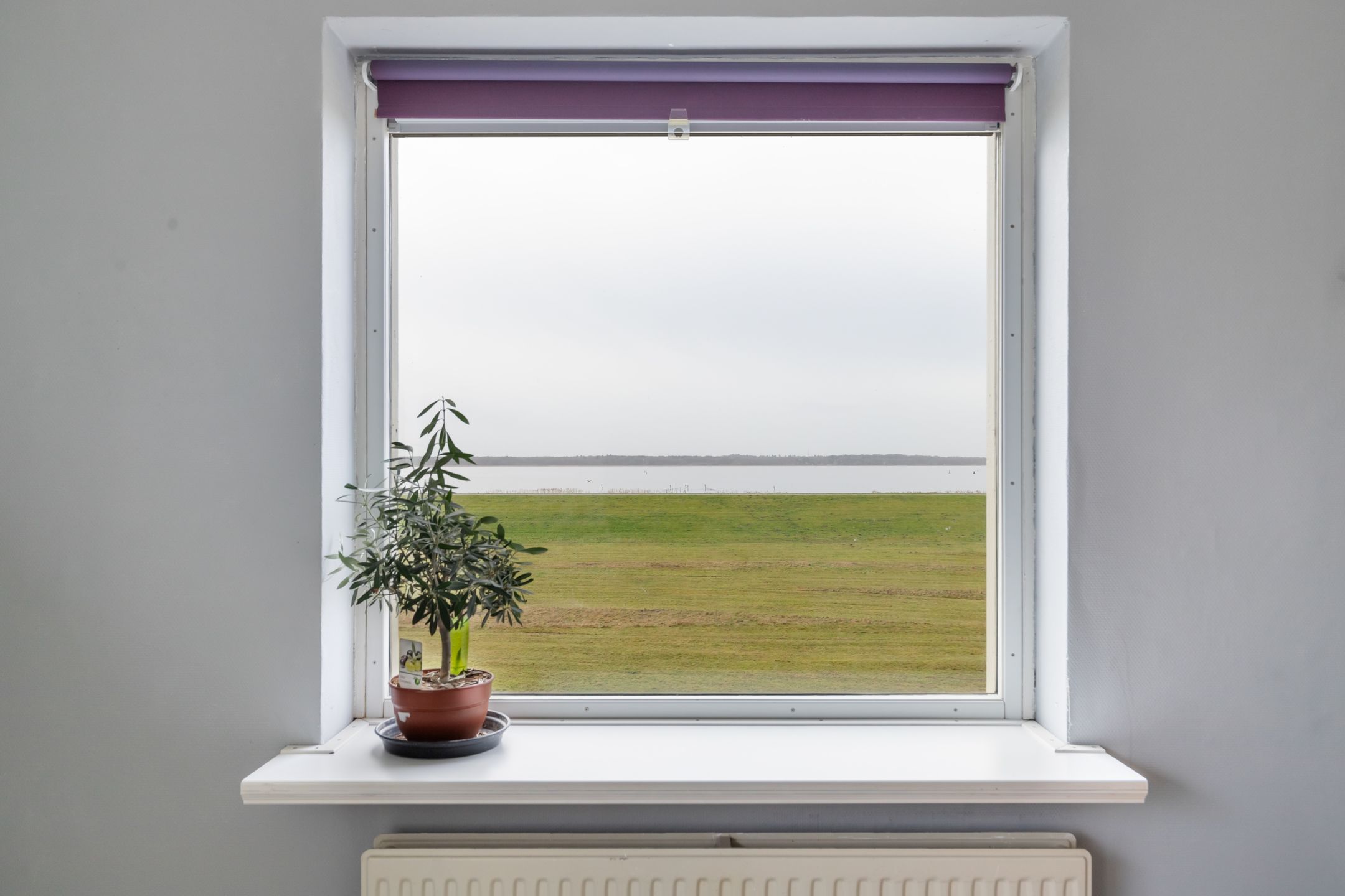 Foto 12 van Dijkmeent 19