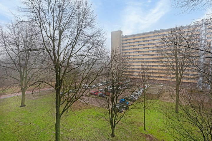 Foto 21 van Langswater 834