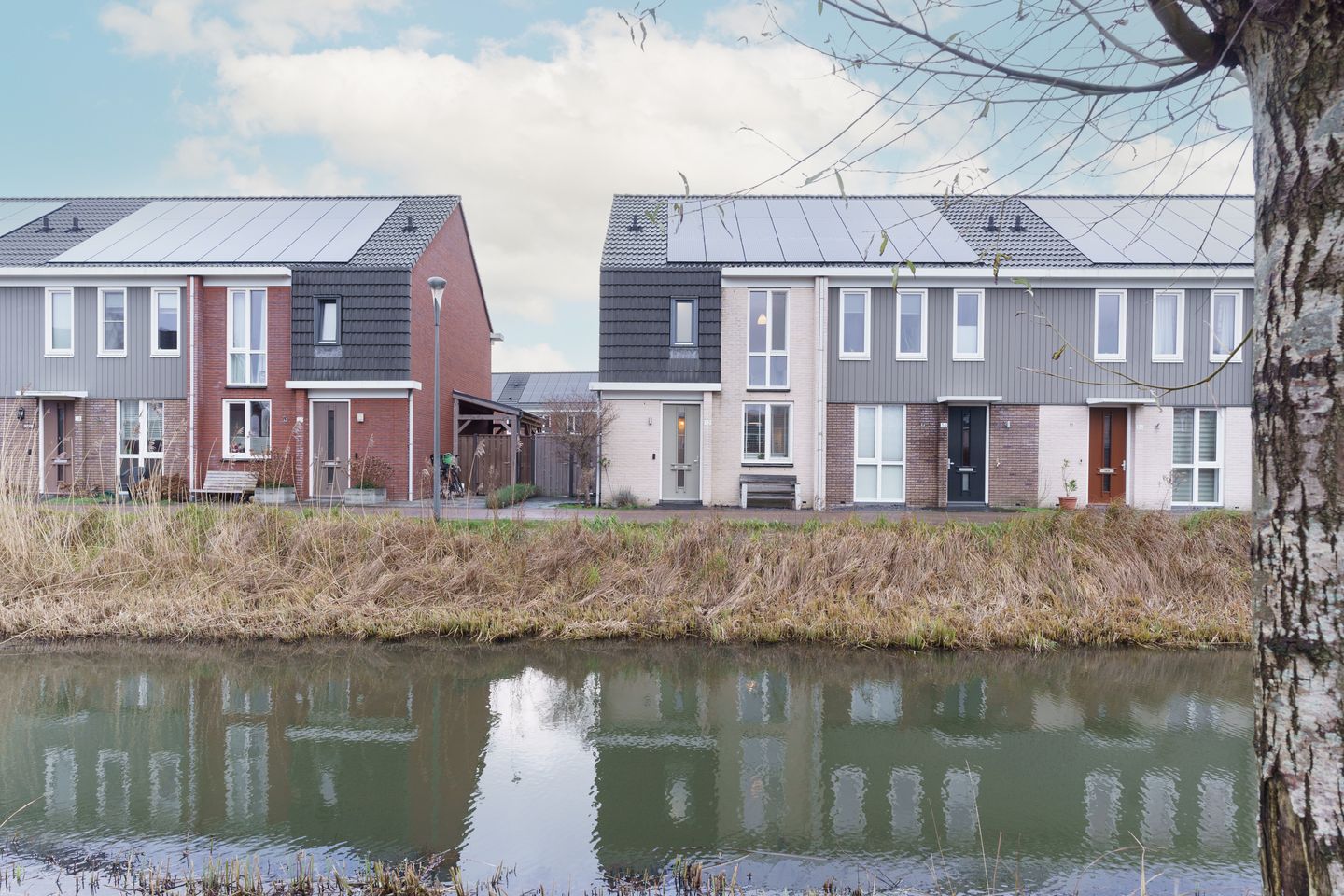 Foto 1 van Oleander 32