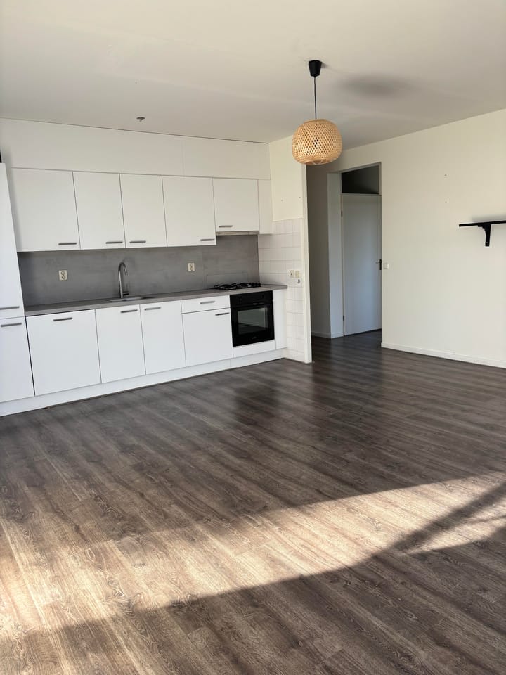 Foto 5 van Terpmeent 41